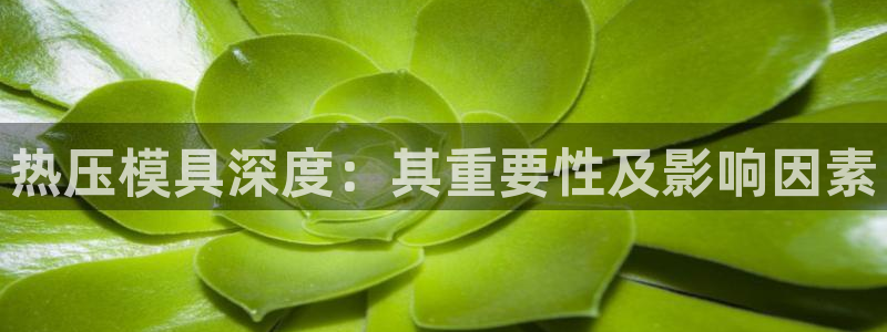 易倍纤使用方法