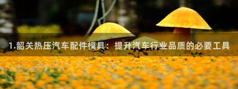 易倍申能长期吃吗：1.韶关热压汽车配件模具：提升汽车行业