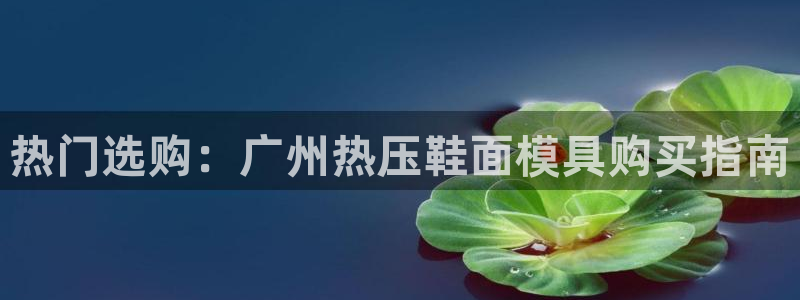 易倍纤价格