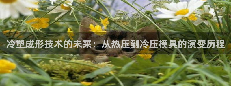 易倍达怎么样：冷塑成形技术的未来：从热压到冷压模具的演变