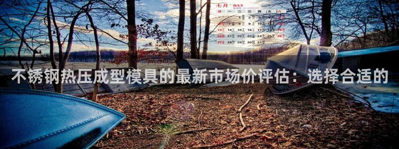 易倍英语官方网站登录：不锈钢热压成型模具的最新市场价评估