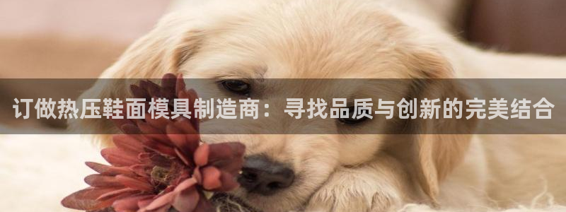 emc易倍app官网下载