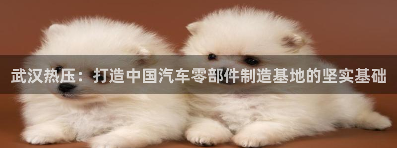 易倍EMC网址：武汉热压：打造中国汽车零部件制造基地的坚