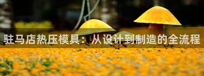emc下载ios：驻马店热压模具：从设计到制造的全流程