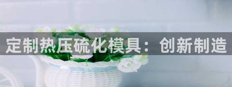 emc易倍官方：定制热压硫化模具：创新制造