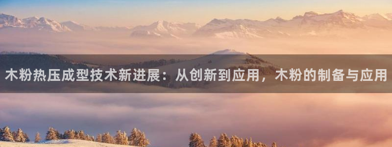 emc易倍官网app官网：木粉热压成型技术新进展：从创新