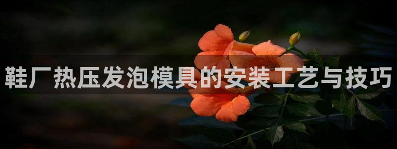 易倍申的副作用：鞋厂热压发泡模具的安装工艺与技巧