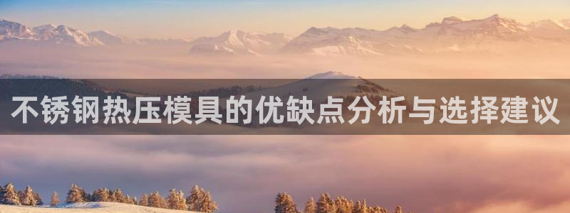 易倍网络技术有限公司：不锈钢热压模具的优缺点分析与选择建
