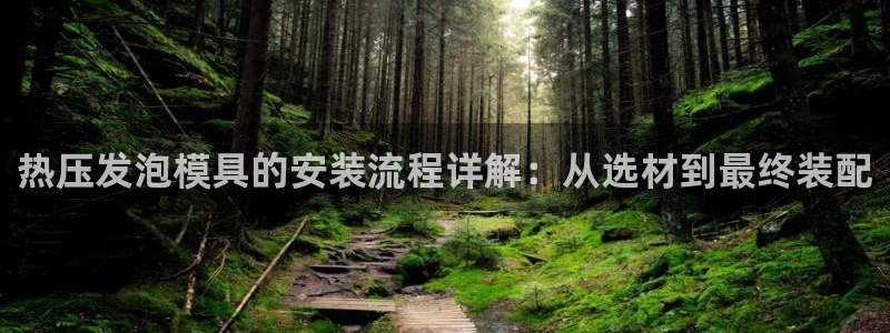 易倍网络技术有限公司招聘：热压发泡模具的安装流程详解：从