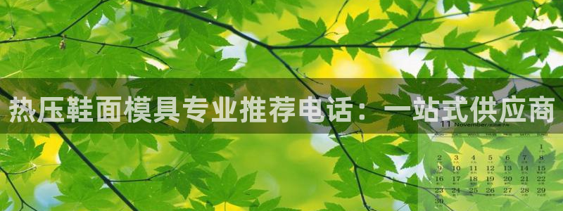 emc 倍频：热压鞋面模具专业推荐电话：一站式供应商