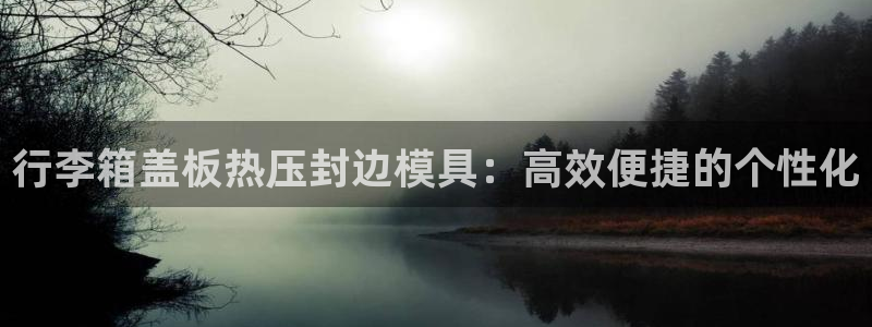 易倍申可以长期服用吗：行李箱盖板热压封边模具：高效便捷的