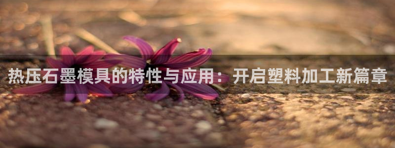 emc备份软件：热压石墨模具的特性与应用：开启塑料加工新