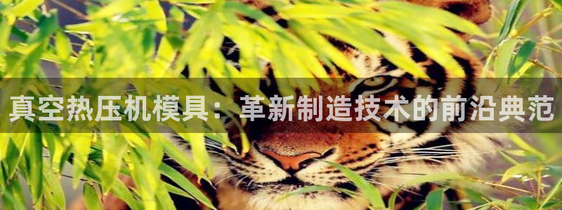 emc服务器是干啥的：真空热压机模具：革新制造技术的前沿