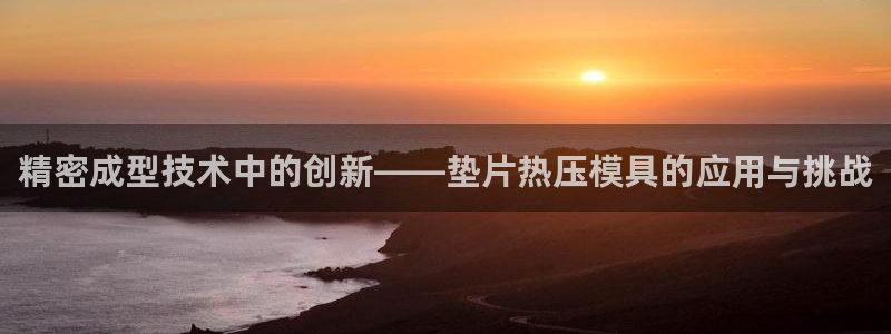 emc易倍官网app：精密成型技术中的创新——垫片热压模