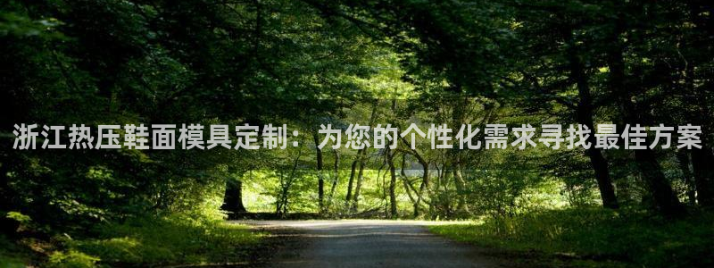 易倍思怎么样：浙江热压鞋面模具定制：为您的个性化需求寻找