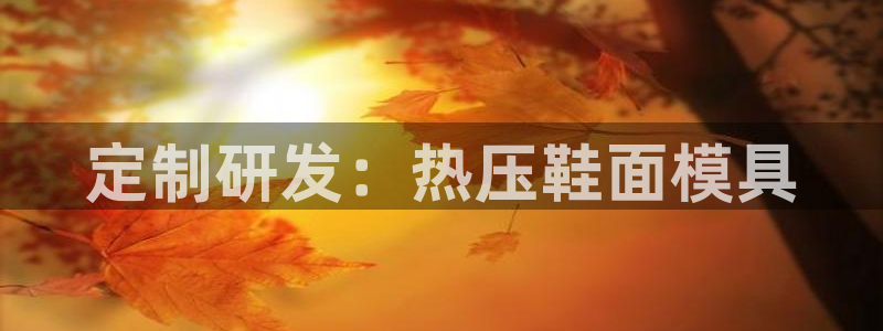 emc易倍全站官网：定制研发：热压鞋面模具