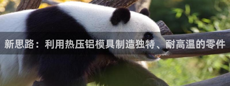 易倍app官网下载：新思路：利用热压铝模具制造独特、耐高