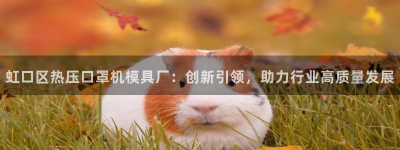 易倍电竞安装教程：虹口区热压口罩机模具厂：创新引领，助力