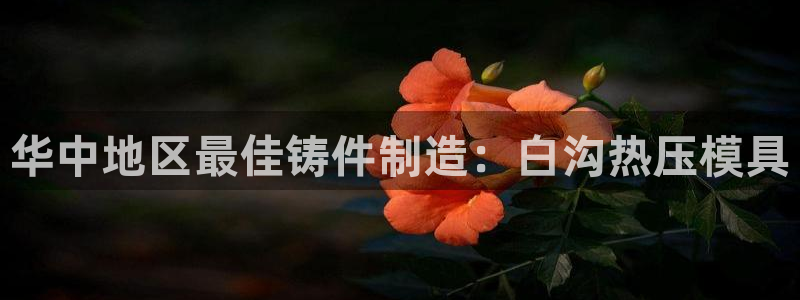 北京易倍思教育怎么样：华中地区最佳铸件制造：白沟热压模具