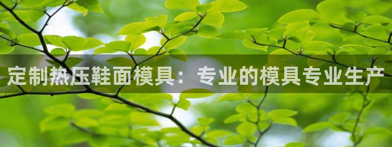 易倍申片的副作用：定制热压鞋面模具：专业的模具专业生产