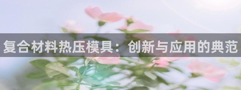 易倍纤使用方法：复合材料热压模具：创新与应用的典范