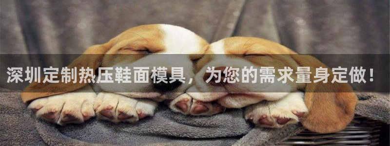 易倍单词官方网站的：深圳定制热压鞋面模具，为您的需求量身