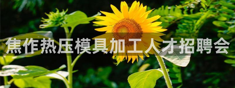 易倍申竞品：焦作热压模具加工人才招聘会