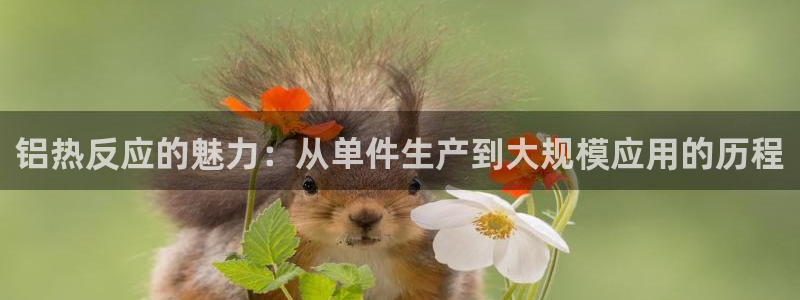 易倍emc网址网页版本登陆：铝热反应的魅力：从单件生产到