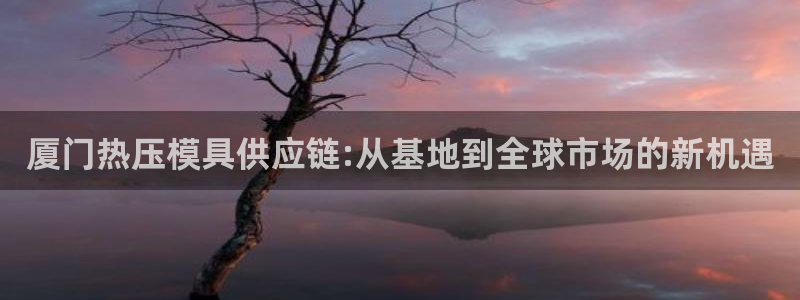 易倍纤代餐奶昔怎么样：厦门热压模具供应链:从基地到全球市