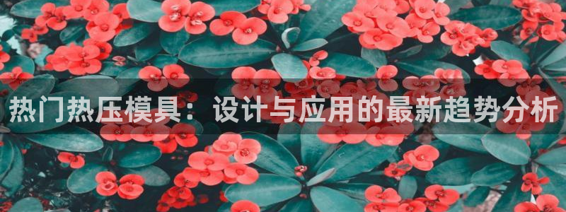 易倍单词app官网：热门热压模具：设计与应用的最新趋势分