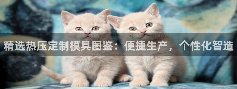 emc备份软件：精选热压定制模具图鉴：便捷生产，个性化智