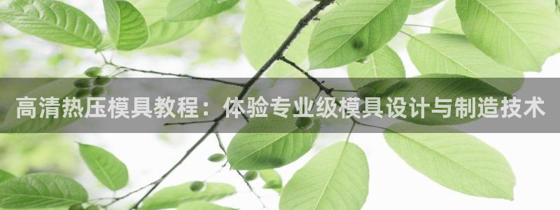 EMC易倍官方平台：高清热压模具教程：体验专业级模具设计