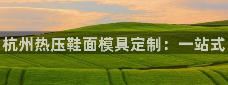 emc易倍平台:杭州热压鞋面模具定制:一站式