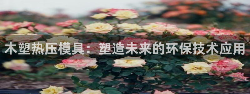 emc服务器是干啥的：木塑热压模具：塑造未来的环保技术应