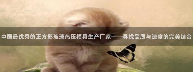 易倍单词app官网：中国最优秀的正方形玻璃热压模具生产厂