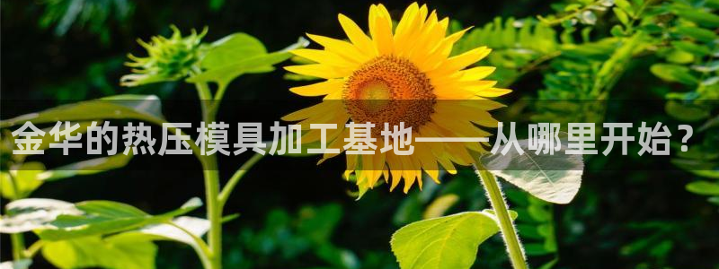 emc全站app下载：金华的热压模具加工基地——从哪里开