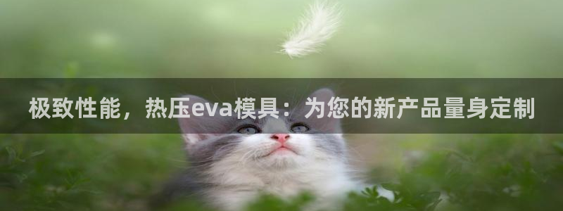 易倍网络技术有限公司怎么样：极致性能，热压eva模具：为