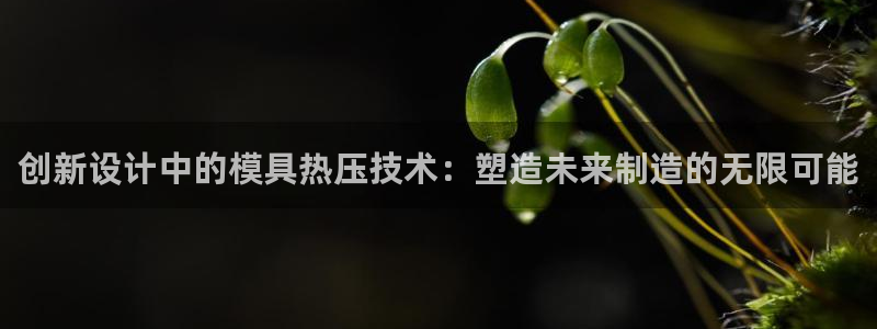 易倍申片能长期服用吗：创新设计中的模具热压技术：塑造未来