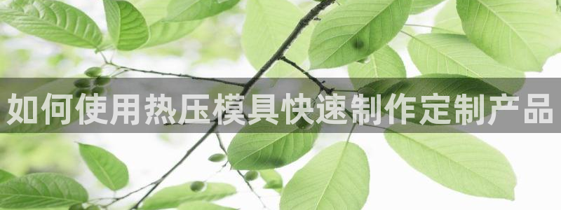 易倍单词登录网站