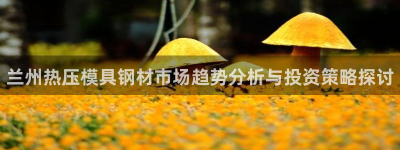 emc易倍电竞:兰州热压模具钢材市场趋势分析与投资策略探