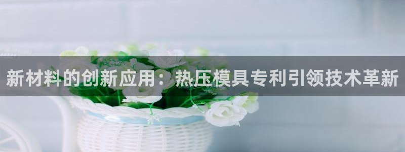 EMC易倍官网招聘：新材料的创新应用：热压模具专利引领技