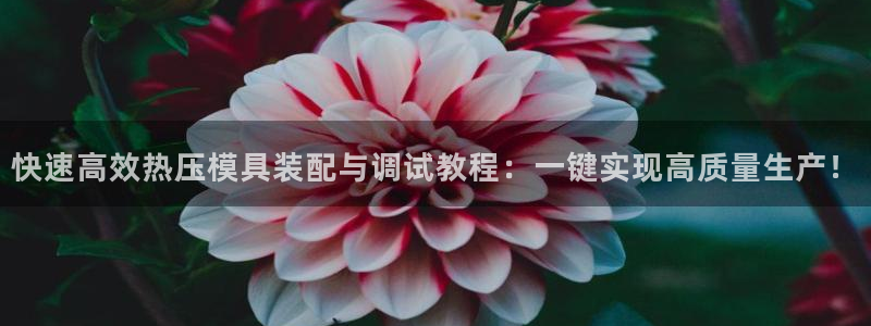 易倍网页版登录：快速高效热压模具装配与调试教程：一键实现