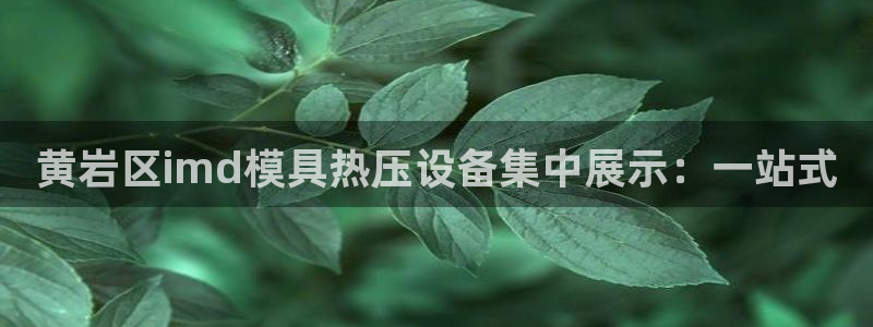 易倍单词官方网站下载：黄岩区imd模具热压设备集中展示：