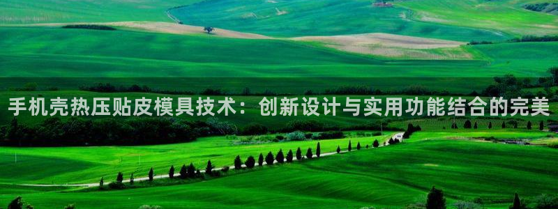 易倍申片说明书：手机壳热压贴皮模具技术：创新设计与实用功