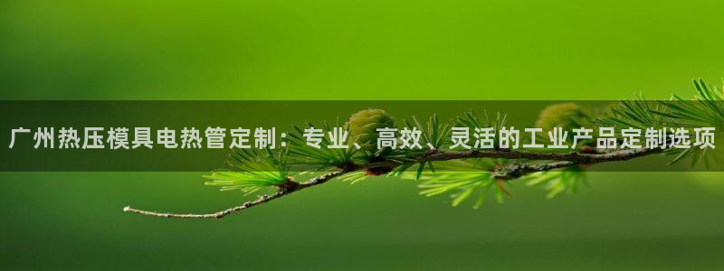 emc易倍官网登录入口:广州热压模具电热管定制:专业、高