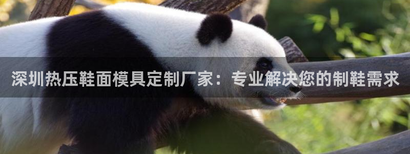 易倍网络技术有限公司官网：深圳热压鞋面模具定制厂家：专业