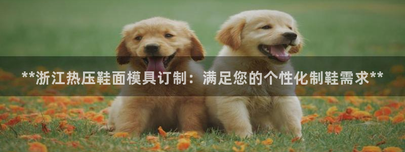 易倍单词官方网站的：**浙江热压鞋面模具订制：满足您的个