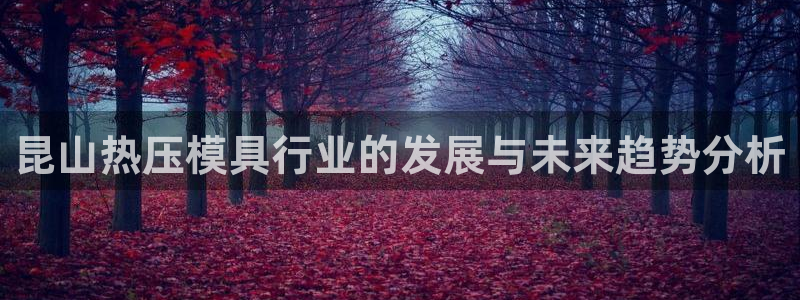 emc易倍官网首页进入:昆山热压模具行业的发展与未来趋势