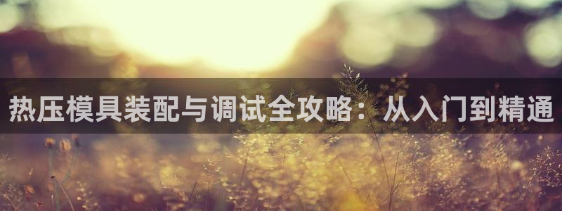 易倍单词app官网：热压模具装配与调试全攻略：从入门到精