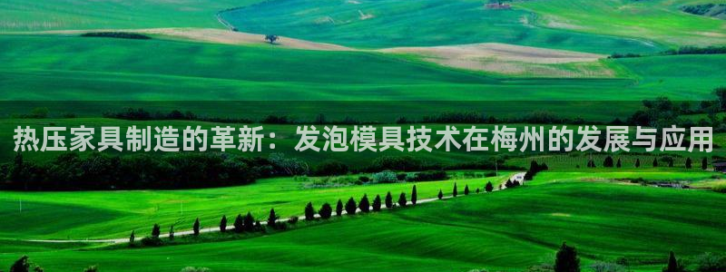 emc全站易倍：热压家具制造的革新：发泡模具技术在梅州的